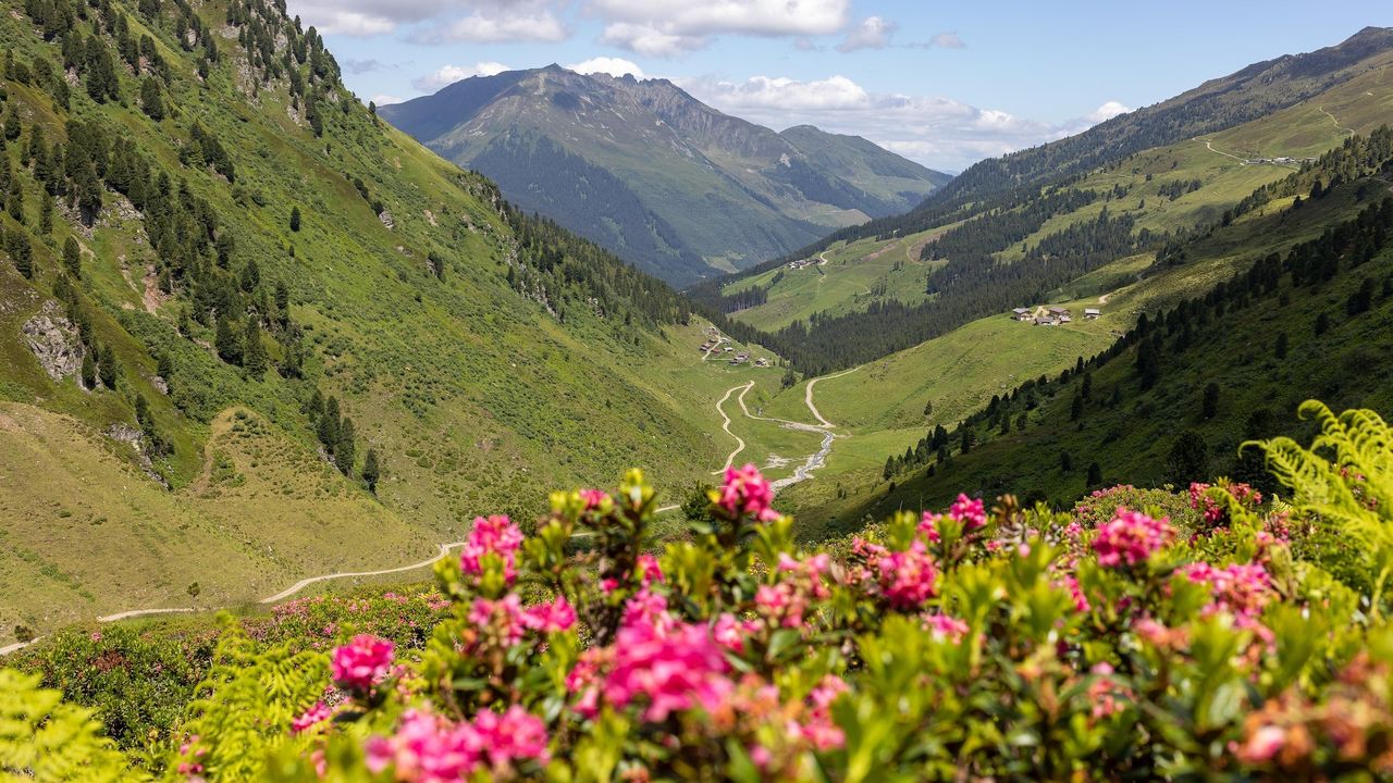 AreaSummer5KM AreaSummer5KM